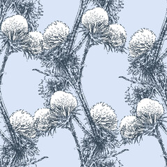 Seamless pattern of sketches frozen wildflowers under snow