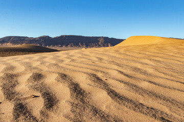 Fototapeta na wymiar Sand Dunes in Zagora Desert, Zagora, Morocco, Mai 2022