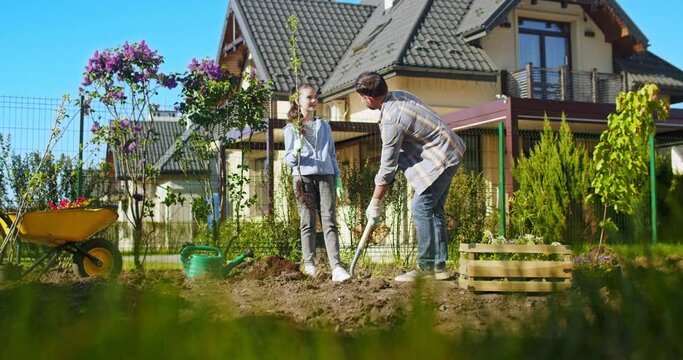 Cute teen girl with handsome father planing a tree at house on sunny day. Pretty daughter helping dad to plant trees and watching he digging in ground. Outside.
