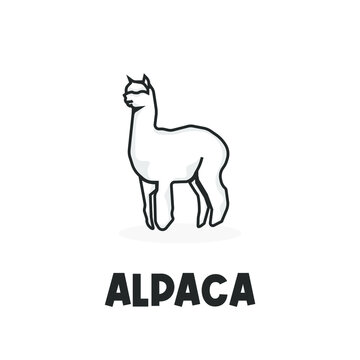Cute alpaca simple vector illustration logo