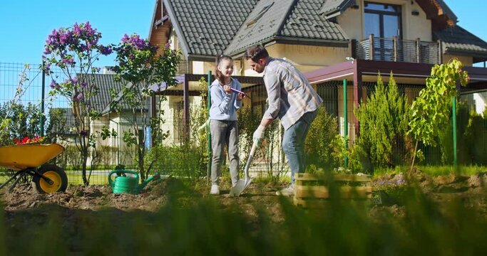 Happy Caucasian father planting tree in garden at house and teen pretty daughter helping him by using information online on tablet device. Girl showing something on device to dad in orchard.