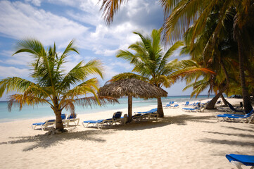 Obraz premium Exotic beach. The Dominican Republic