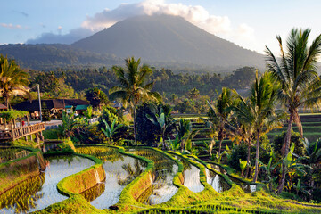 Beautiful sunrise over the Jatiluwih Rice Terraces against the background of spellbinding Mount...