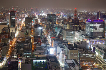 Fototapeta na wymiar 冬の札幌の夜景・中央区方面