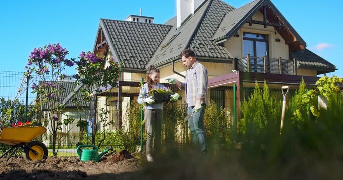 Caucasian father and daughter choosing plants from box to grow in garden at house. Pretty teen girl helping to dad in planting trees. Family work in orchard. Outdoor.