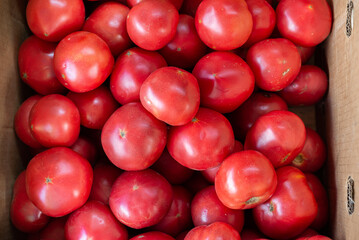 Red tomatoes top view in the store. Pattern, background