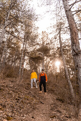 Hiking with their dog together in the forest while enjoying their time