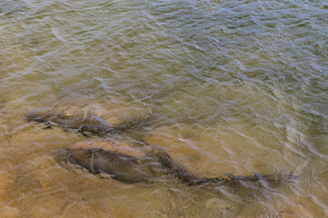 large stones lie in clear water