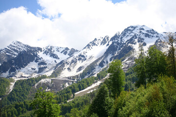 The mountains in snow and green forest in spring. Blue sky background