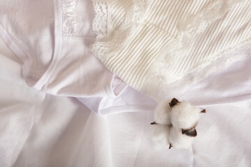 cotton flower and women's underwear, white panties with lace on the sheet