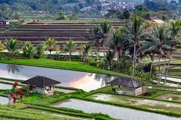 Beautiful sunrise over the Jatiluwih Rice Terraces against the background of spellbinding Mount Batukaru and Mount Agung in Tabanan, Bali. Indonesia