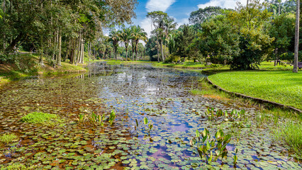 JARDIM BOTÂNICO - SÃO PAULO - BRASIL