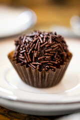 Homemade chocolate truffle on a plate with blur background