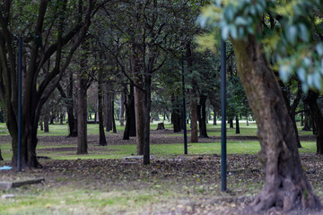 recreation and rest areas at Chapultepec Park