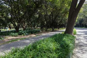 recreation and rest areas at Chapultepec Park