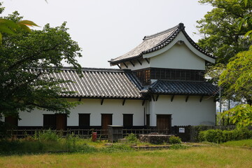 緑に囲まれた福岡城跡。石垣や塀などの歴史的建造物。福岡城は舞鶴公園と大濠公園にある。日本、福岡県