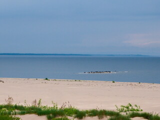 Morze Bałtyckie 2 - obrazy, fototapety, plakaty