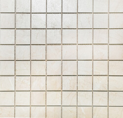 A small square ceramic tile for cladding.