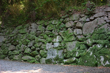 緑に囲まれた福岡城跡。石垣や塀などの歴史的建造物。福岡城は舞鶴公園と大濠公園にある。日本、福岡県