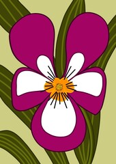 Field pansy bratek polny illustration procreate dark pink on green background with leaves