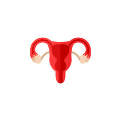 Female reproductive system anatomy abstract flat icon. Human Internal Organ vector illustration isolated on white background. Scheme of uterus, cervix, ovary and fallopian tube symbol