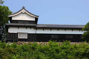 緑に囲まれた福岡城跡。石垣や塀などの歴史的建造物。福岡城は舞鶴公園と大濠公園にある。日本、福岡県