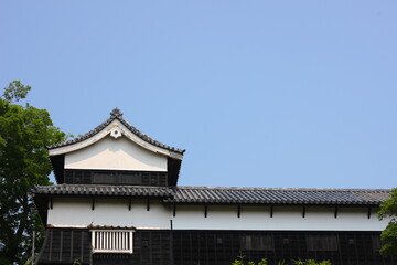 緑に囲まれた福岡城跡。石垣や塀などの歴史的建造物。福岡城は舞鶴公園と大濠公園にある。日本、福岡県