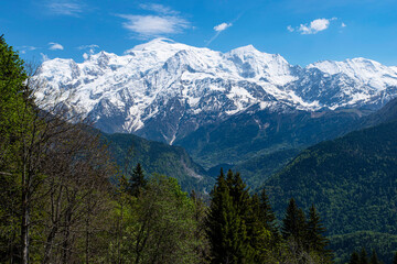 Fototapeta na wymiar Mountain landscape with forest and Mont Blanc behind