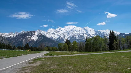 Crédence de cuisine en verre imprimé Mont Blanc Mountain landscape with forest and Mont Blanc behind