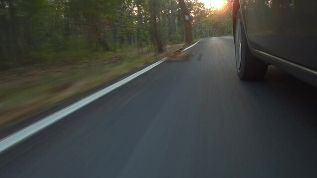 Wheels of the car driving on the road leading into the forest, Camera angle parallel to the car body and near the road concept.