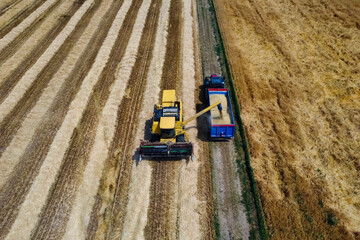 Harvesting scene in the italian countryside