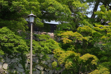 緑に囲まれた福岡城跡。石垣や塀などの歴史的建造物。福岡城は舞鶴公園と大濠公園にある。日本、福岡県