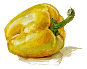Yellow bell pepper. Food illustration.