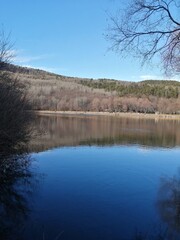 reflection in the water