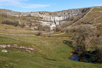 Malham Cove and pasture