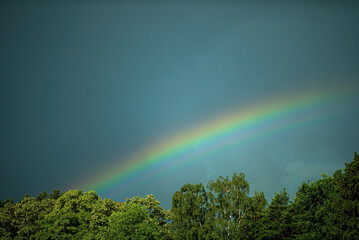 A multicolor rainbow against a dark cloudy sky on a summer day,