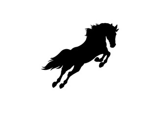 horse silhouette isolated on white