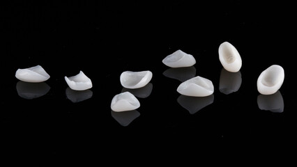 ceramic dental veneers for the upper jaw on a black background © Dental Pro Content