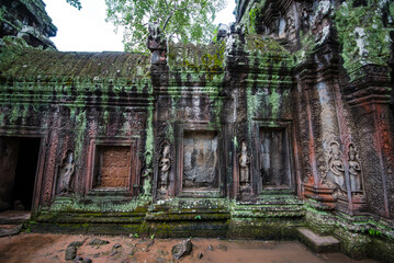 Ancient sandstone carvings covered with moss at Ta Prohm Temple in Siem Reap Angkor Wat, Cambodia