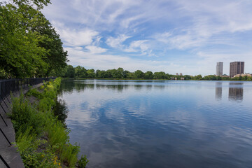 Central Park! 