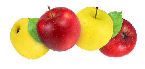 Yellow and red apples on an isolated white background.