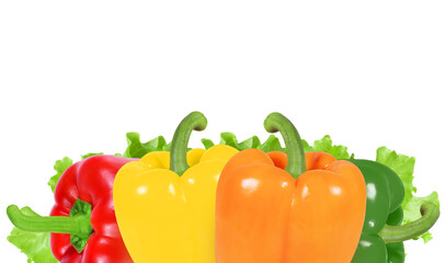 Four peppers of different colors isolated on white background. Green, red, yellow, orange peppers