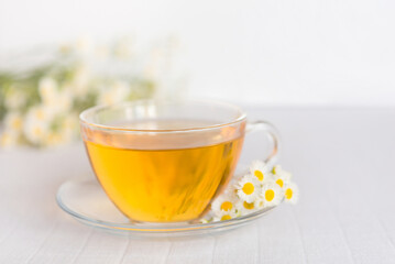 Chamomile herbal tea on a light pastel background. copy space
