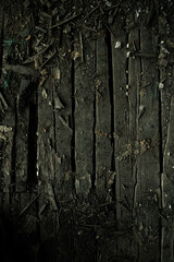 Texture of an old wooden floor, soft focus, background, wallpaper