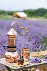 Distillation of lavender essential oil and hydrolate. Copper alambic for the flowering field.