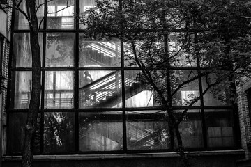 Artistic photo of a building with large windows where you can see the steps. In the window is the silhouette of a man. Black and white style.