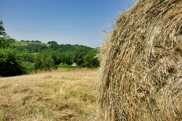 Close up of a round hay bale freshly ejected from a hay baler
