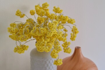 Bouquet of dried yellow flowers.