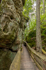 Pitted Droop sandstone and boardwalk in Beartown State Park in West Virginia. Ferns and colorful lichens and mosses grow on the rock surface.