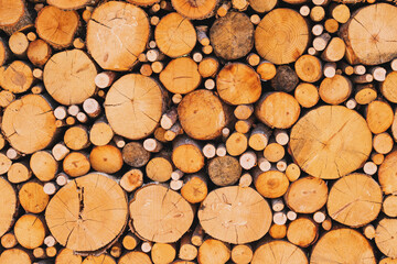 A lot of sawn branches and trunks of different diameters as decoration. Wooden background and construction material